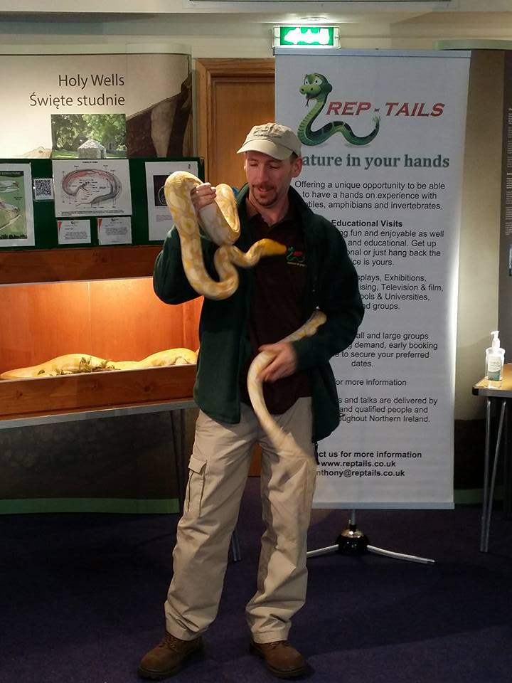 anthony with a large albino reticulated python in front of a large reptails banner and wooden enclosure